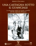 Una castagna sotto il guanciale