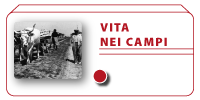 Vita nei campi