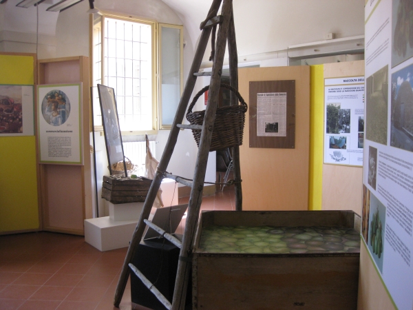 Aula didattica 
