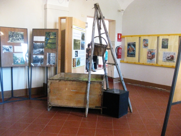 Aula didattica 