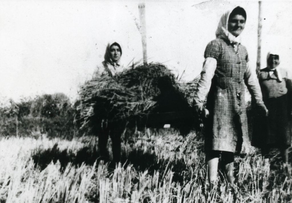 Trasporto dei covoni di riso mietuto effettuato da donne (Guidi Maria e Carletti Maria); lavoro generalmente effettuato da uomini, forse mancanti perché in guerra